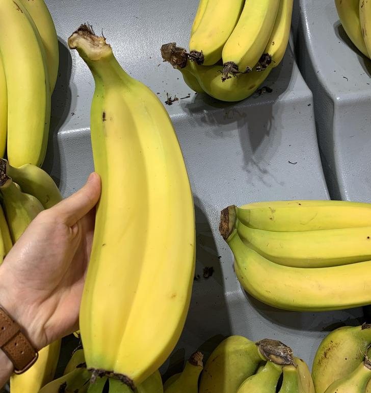 Banāni vietējā veikalā ir... Autors: Lestets 21 pierādījums, ka dabas iztēles spējai nav robežu