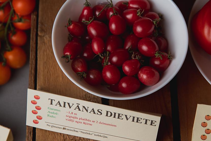  Autors: matilde FOTO ⟩ Labākie un interesantākie tomātu nosaukumi no "Tomātu parādes 2022"