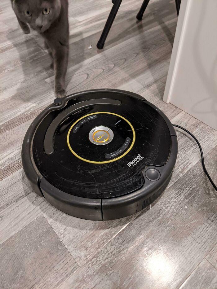 Roomba ar visu lādētāju pa 4... Autors: Latvian Revenger Veiksmīgie guvumi "humpīšos"