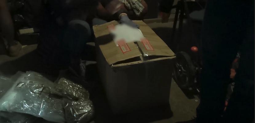 No aizdomās turētā... Autors: matilde VIDEO ⟩ Kādā Jaunmpārupes ēkas pagrabā policija atrada 51 kilogramu marihuānas