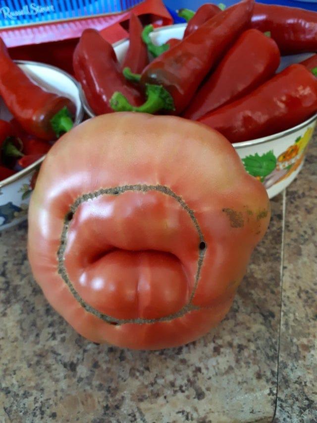 Vērscarona sirds tomāts... Autors: Zibenzellis69 17 dīvaini gadījumi, kad cilvēki izaudzēja kaut ko tādu, kas viņus pārsteidza