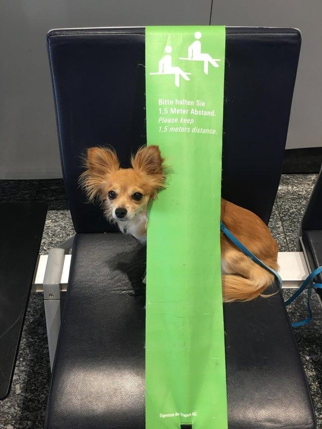 Manam sunim nepatīk ja... Autors: Zibenzellis69 17 kadri, kas parāda, ka gaidīšana lidostā dažkārt mēdz būt aizraujoša