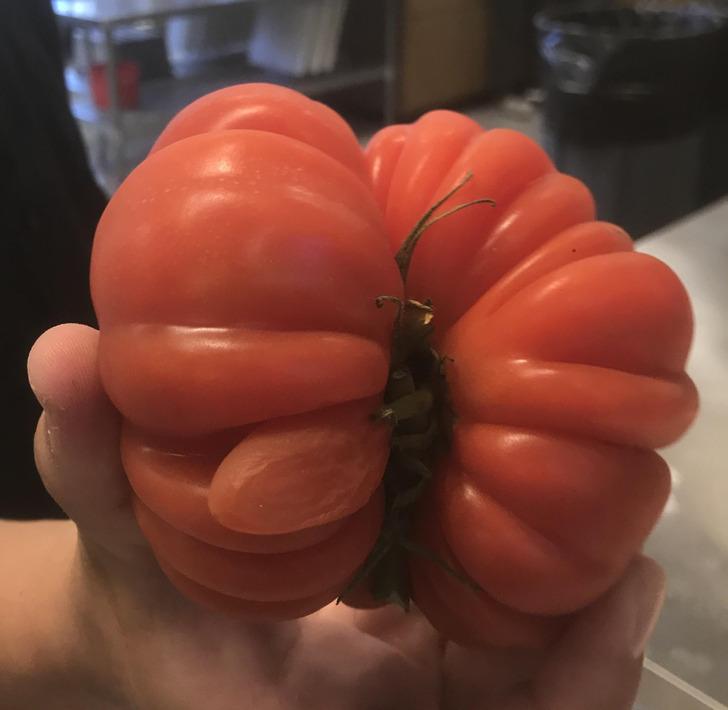 Vien ļaujiet tomātiem augt un... Autors: Lestets 16 bildes no mūsu dīvainās pasaules