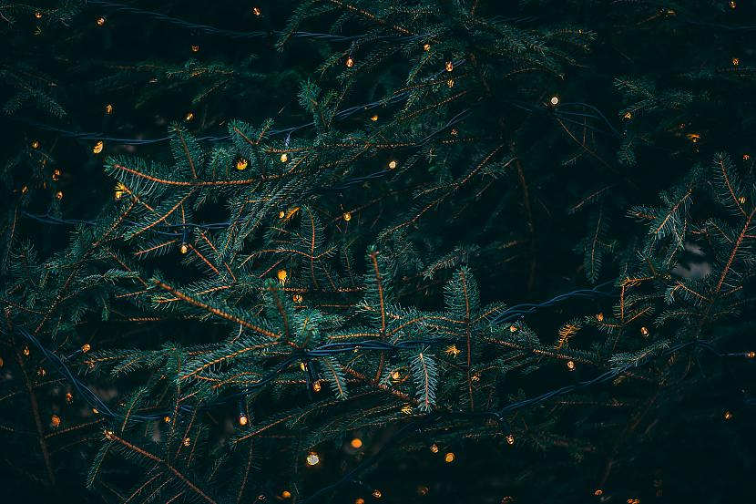 Ziemassvētku naktī zvaigznes... Autors: matilde 19 sirsnīgi un iedvesmojoši Ziemassvētku pantiņi