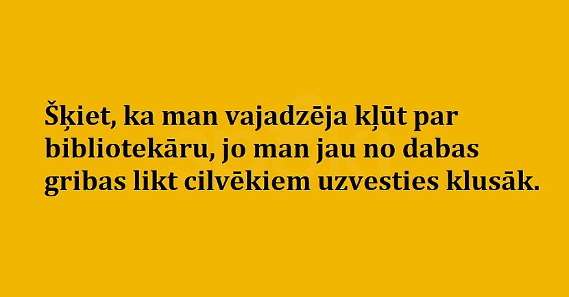  Autors: The Diāna Jociņu izlase garastāvokļa uzlabošanai (15 attēli)