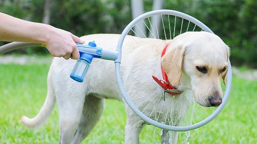 Ērti var nomazgāt suni neradot... Autors: Zibenzellis69 Pārsteidzoši izgudrojumi, kas parādījās salīdzinoši nesen