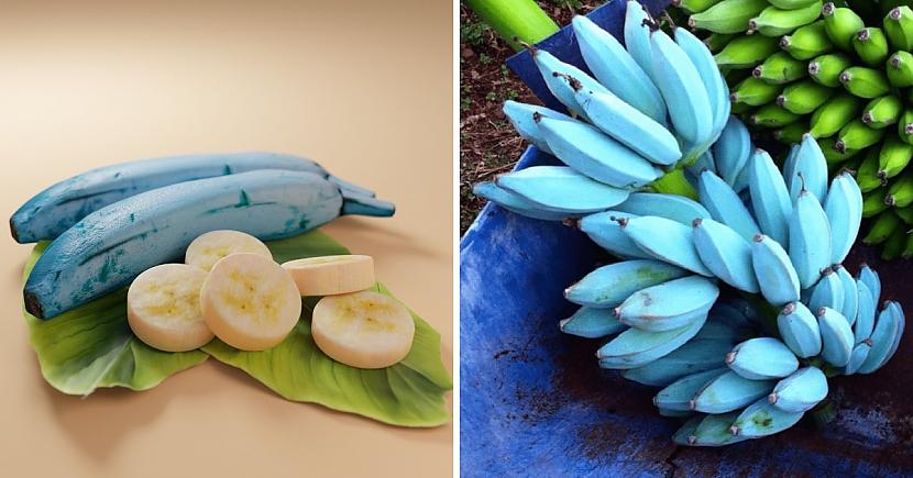Banāni quotBlue Javaquot kas... Autors: Zibenzellis69 12 dīvaini banānu veidi, kas pārsteigs ar savu krāsu un garšu