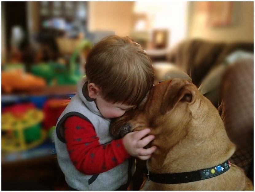 Es mīlu tevi ļoti mazais... Autors: Zibenzellis69 Sirsnīga foto izlase: 17 piemēri draudzībai starp bērniem un mājdzīvniekiem ❤️