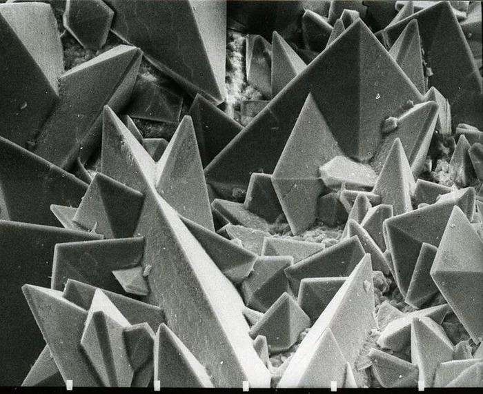 Nierakmens Autors: Zibenzellis69 Objekti, kurus cilvēki nolēma izpētīt mikroskopā un atklāja pārsteidzošu pasauli