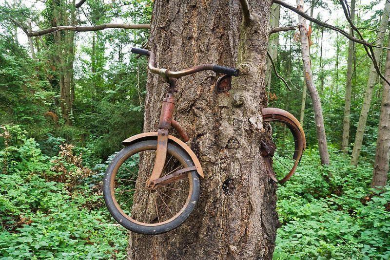 Sen pamests velosipēds Autors: Zibenzellis69 27 gadījumi, kad daba nolēma atgādināt cilvēkiem, ka viņa te ir priekšniece
