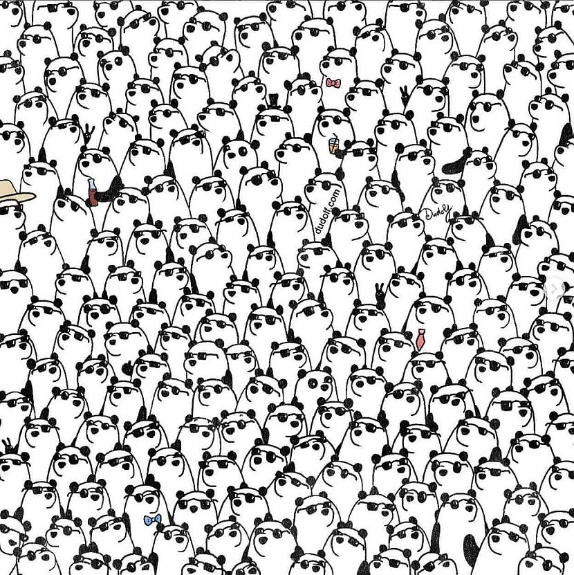 Trīs pandas bez brillēm Vai... Autors: Zibenzellis69 Mākslinieks aicina uzspēlēt 8 uzmanības bilžu mīklas. Vai tu vari tikt galā