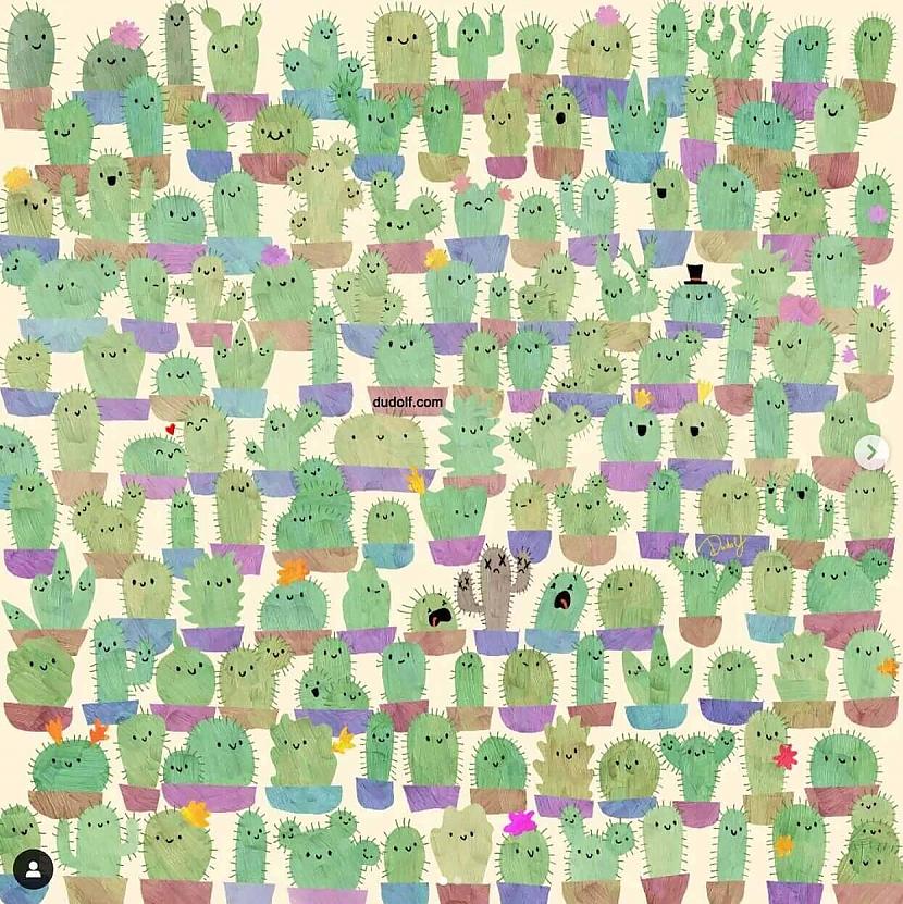 Kaktusos ir pazudis ābols vai... Autors: Zibenzellis69 Mākslinieks aicina uzspēlēt 8 uzmanības bilžu mīklas. Vai tu vari tikt galā