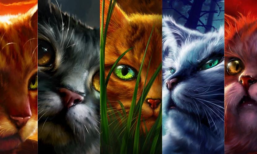 Autors: klanu kaķi 10 interesantas lietas no neiztulkotajām klanu kaķu grāmatām