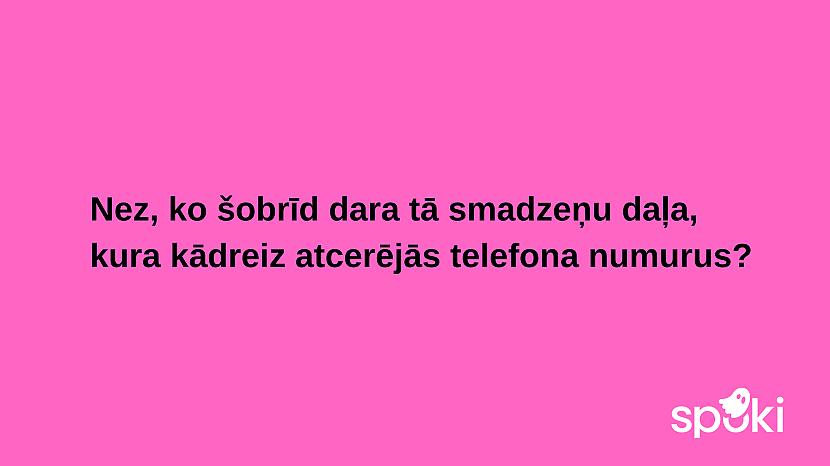  Autors: The Diāna Jociņu izlase garastāvokļa uzlabošanai (17 attēli)