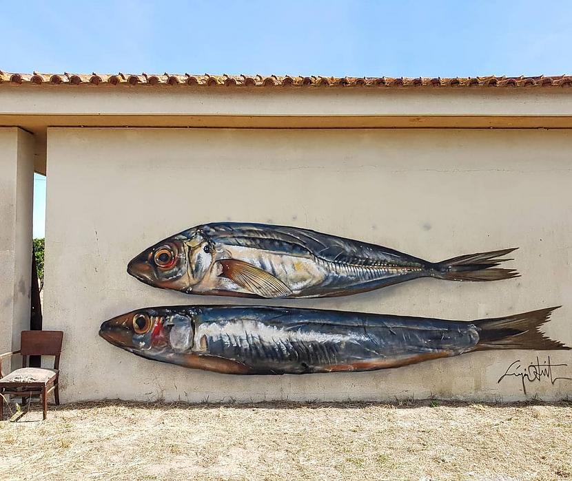Vēl divas zivis Autors: Zibenzellis69 Portugāļu mākslinieks veido 3D grafiti, kas izskatās tik reālistiski