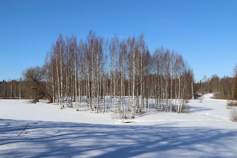 Cik zilas debesis Jau pierasts... Autors: klanu kaķi 25 skaisti Latvijas dabas skati