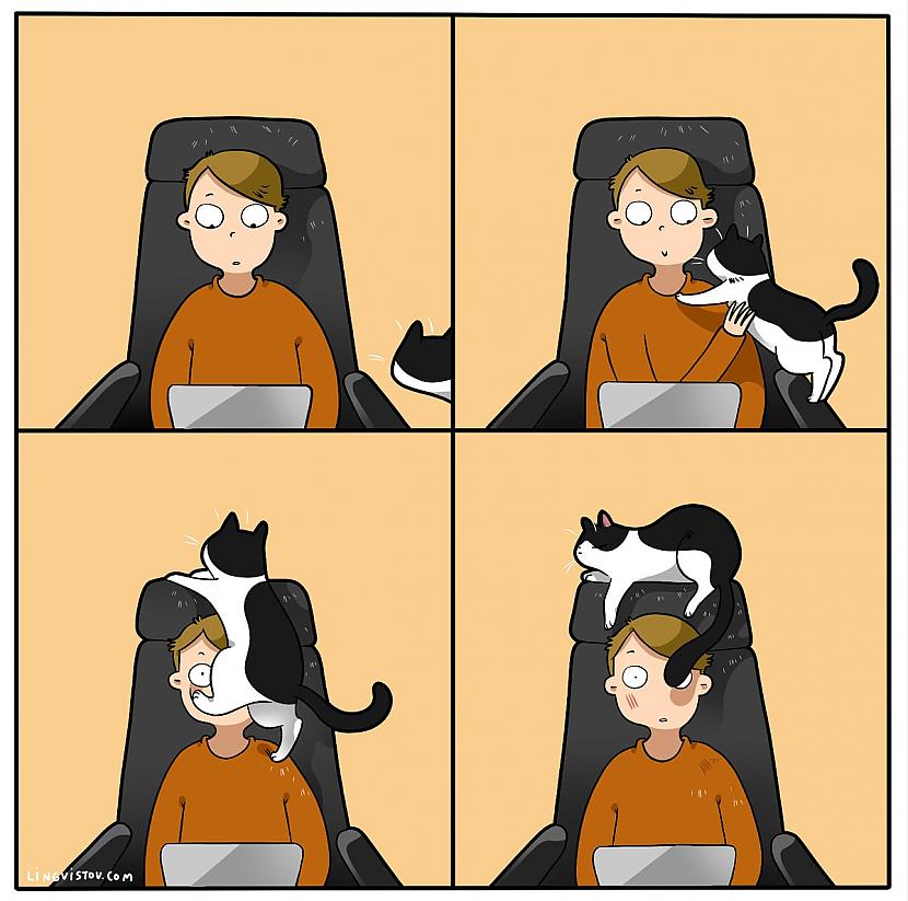 Palīdzi man Autors: Zibenzellis69 Vitāli, smieklīgi komiksi, kurus lieliski sapratīs ikviens, kuram mājās ir kaķis