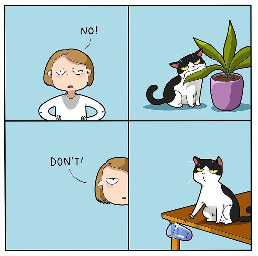 Nē neuzdroscaroninies  Autors: Zibenzellis69 Vitāli, smieklīgi komiksi, kurus lieliski sapratīs ikviens, kuram mājās ir kaķis