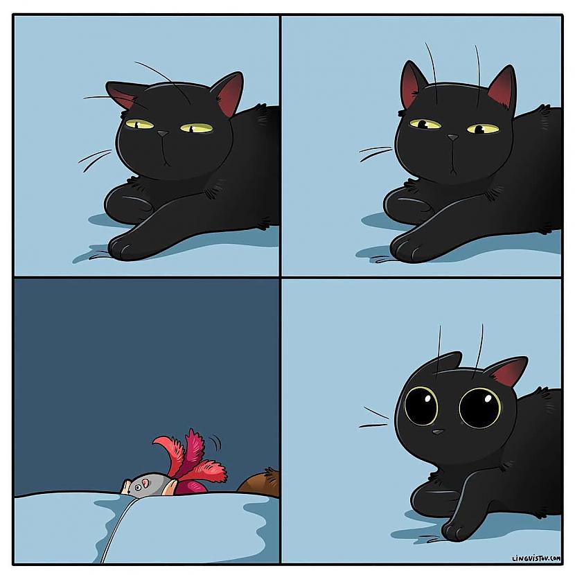 Medību režīms ir aktivizēts Autors: Zibenzellis69 Vitāli, smieklīgi komiksi, kurus lieliski sapratīs ikviens, kuram mājās ir kaķis