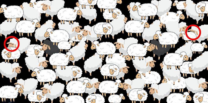 Ir divas guļoscaronās aitiņas... Autors: Zibenzellis69 8 vizuālas mīklas (neļaujiet bērniem domātiem attēliem jūs apmānīt)