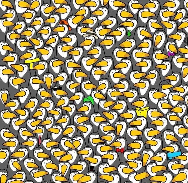 Atrodi pingvīnu starp tukāniem Autors: Zibenzellis69 Laiks bilžu miklām, cik ātrā laikā vari visu atrisināt?