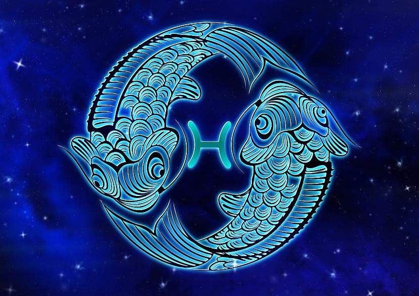 Zivis  dusoscaronās... Autors: Lestets Lūk, kā uzvedas katra Zodiaka zīme, kad ir «jautrā prātā»