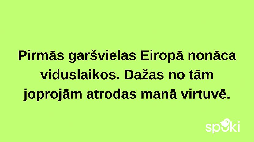  Autors: The Diāna Jociņu izlase garastāvokļa uzlabošanai (18 attēli)