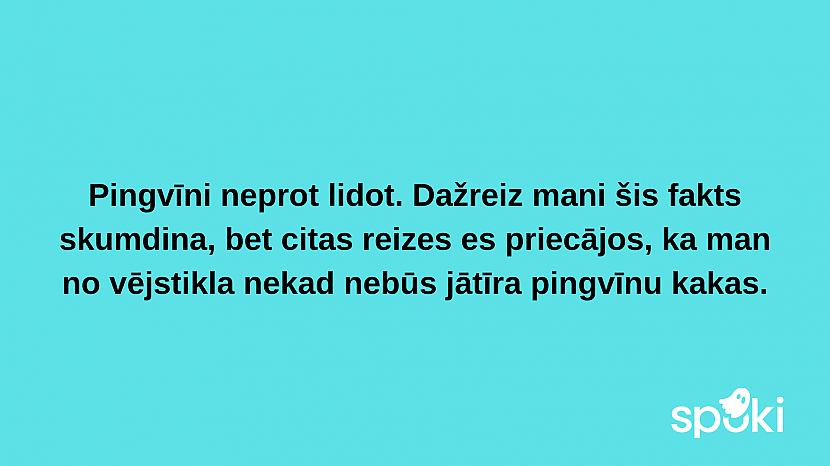  Autors: The Diāna Jociņu izlase garastāvokļa uzlabošanai (17 attēli)