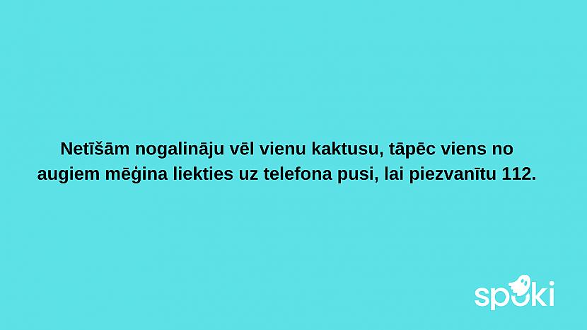  Autors: The Diāna Jociņu izlase garastāvokļa uzlabošanai (17 attēli)