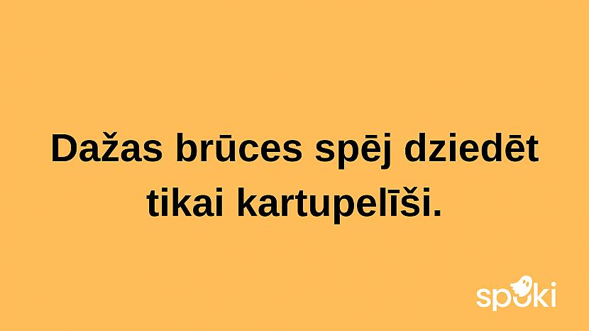  Autors: The Diāna Jociņu izlase garastāvokļa uzlabošanai (17 attēli)