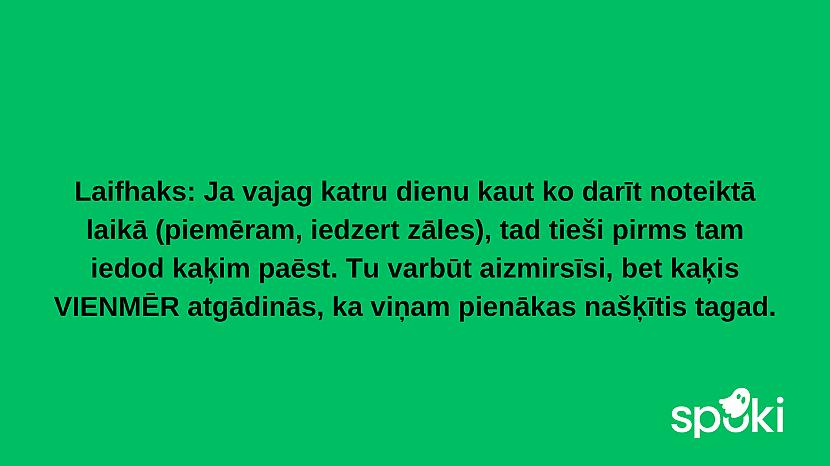  Autors: The Diāna Jociņu izlase garastāvokļa uzlabošanai (17 attēli)