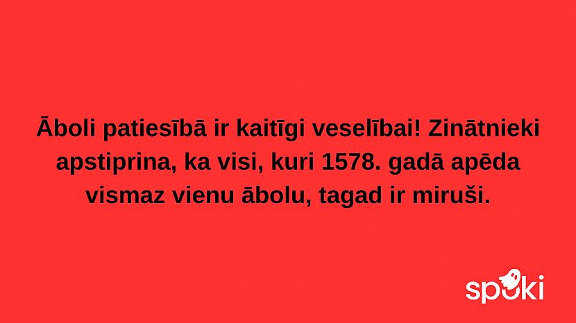  Autors: The Diāna Jociņu izlase garastāvokļa uzlabošanai (17 attēli)