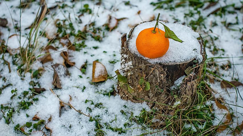 Latvijā šodien uzsnidzis pirmais sniegs