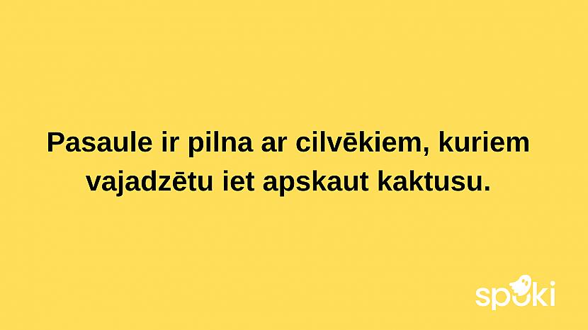  Autors: The Diāna Jociņu izlase garastāvokļa uzlabošanai (17 attēli)