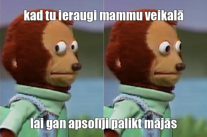  Autors: Zibella Karo Memes