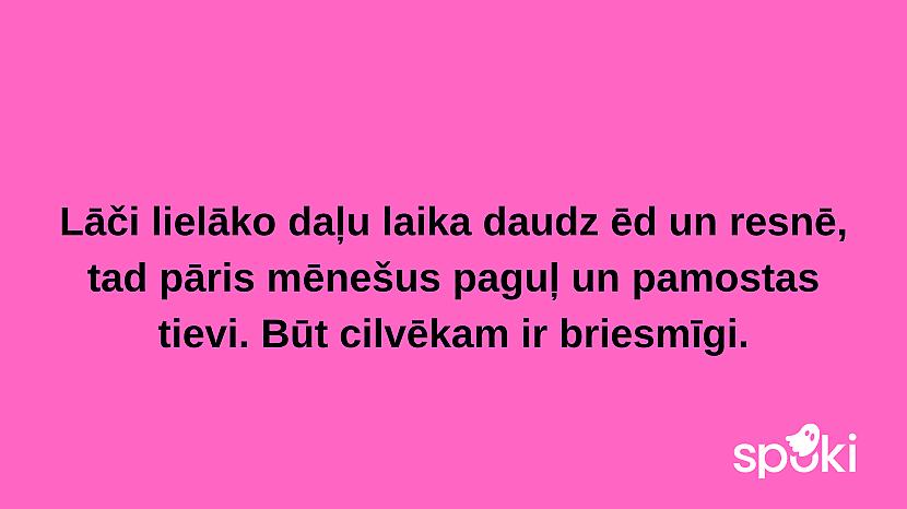  Autors: The Diāna Jociņu izlase garastāvokļa uzlabošanai (18 attēli)