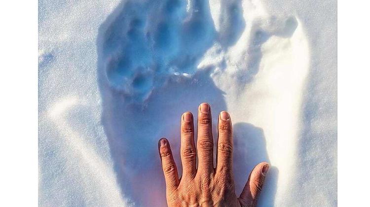 Dažreiz viens labs foto salīdzinājums tev var pateikt vairāk nekā tūkstoš vārdu