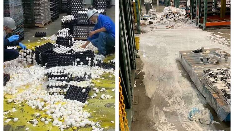 18 episkas darba neveiksmes, kas liks tev priecāties, ka tas ar tevi nenotika