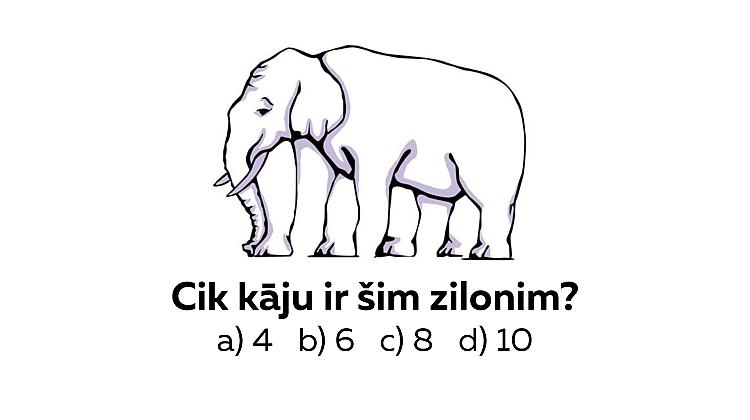 Tests: Cik viegli var apčakarēt tavas smadzenes? Optiskās ilūzijas pārbaudījums