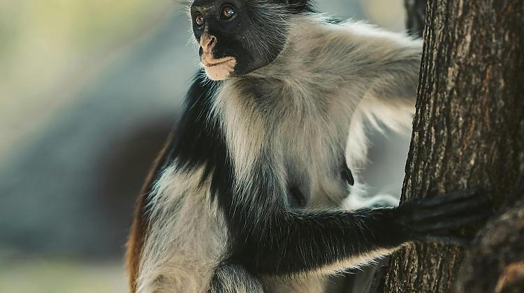 😄​ ​​​Neliela humora deva nekad nenāk par ļaunu – īsie joki šai dienai 🤣