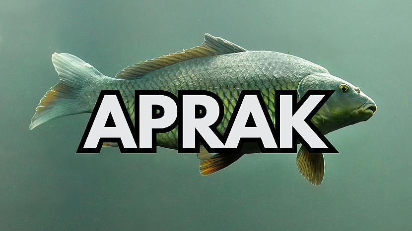 Tests: Kuras zivs nosaukums paslēpies šajā burtu mikslī? - Spoki