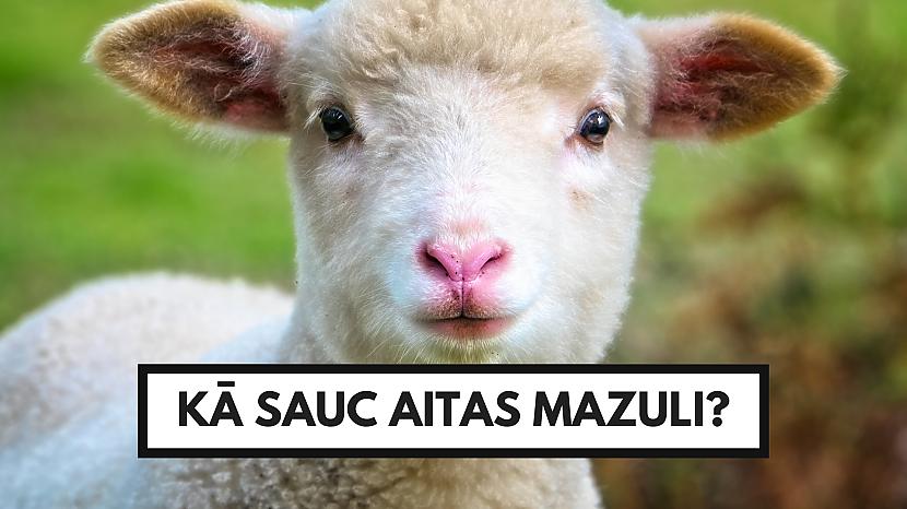 Tests: Vai vari šajā zināšanu testā iegūt 10 punktus no 10? - Spoki