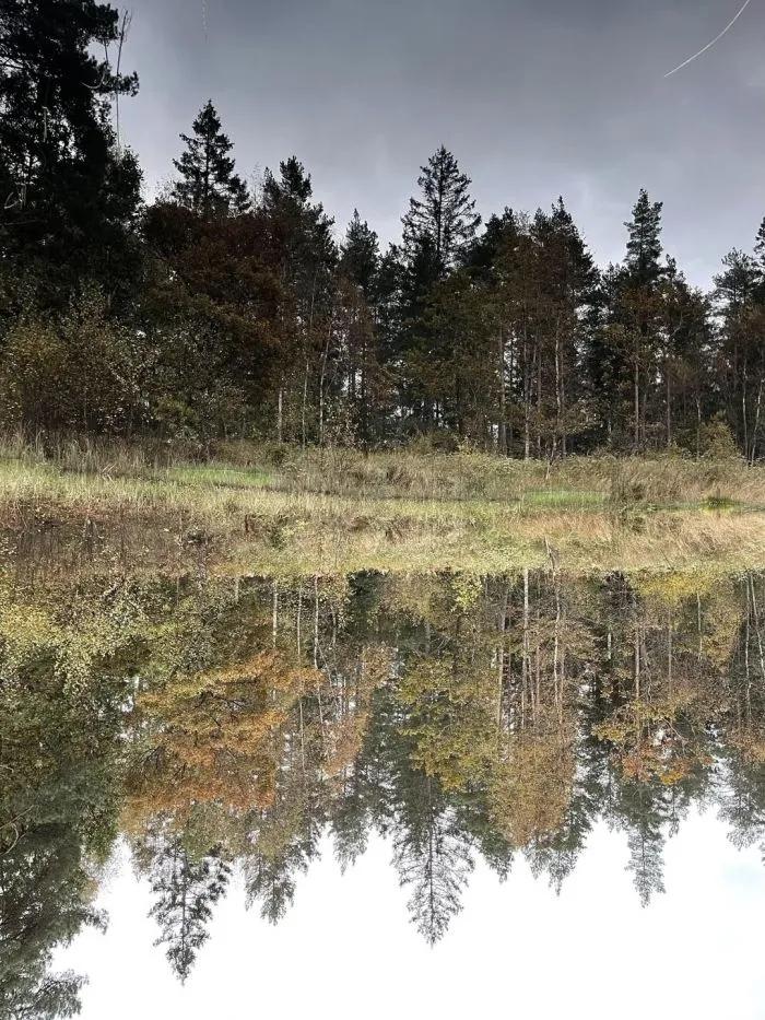 Mulsinošu situāciju fotogrāfijas, kuras pat detektīvs nespētu uzreiz ...